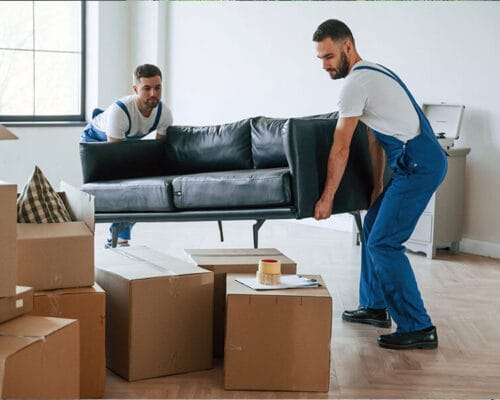 Maltepe Ofis Taşımacılığı ile İş Sürekliliğinizi Korumak